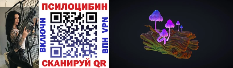 Галлюциногенные грибы мицелий  купить   Полярные Зори 